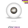 Ego Vision Gray