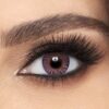 Freshlook Amethyst