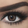 Bella Highlight Circle Brown