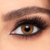 Freshlook Honey